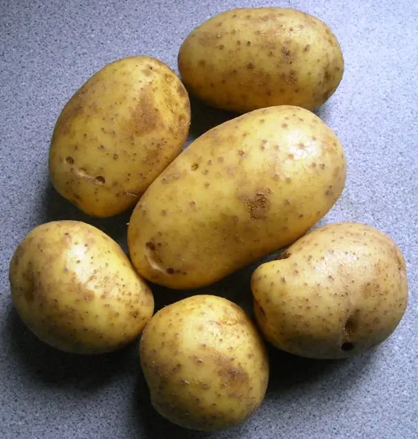 How to Plant Wilja Potatoes
Wilja seed potatoes
how to grow wilja potatoes

