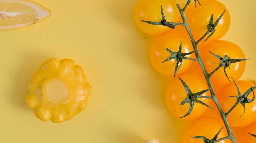 sungold tomato plant