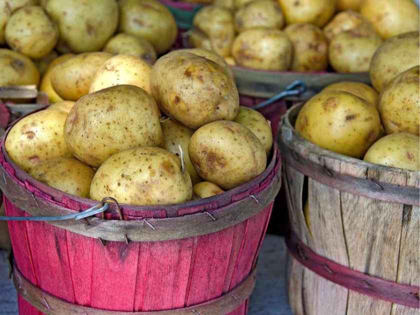Grow potatoes
yellow potatoes
