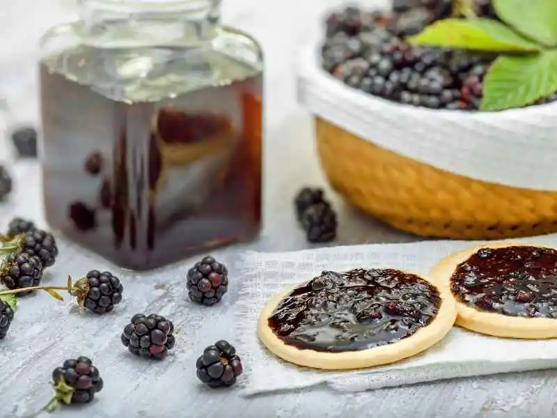 making blackberry dishes using a food mill