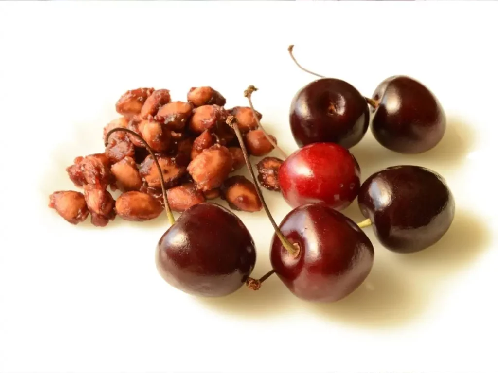 guide to grow the cherry plant from seeds of store bought cherry  