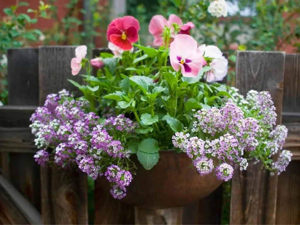 a guide to plant many different plants in one container