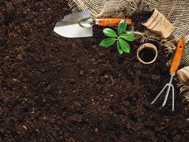 garden soil