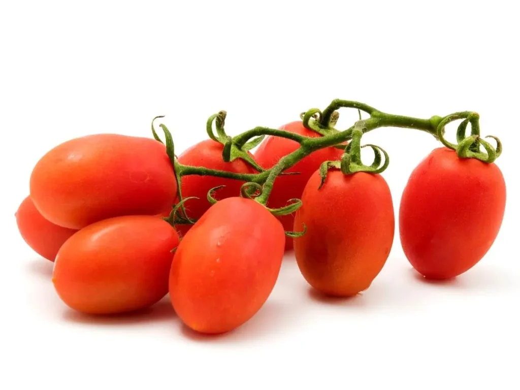 beautiful red roma tomatoes grown in a home garden