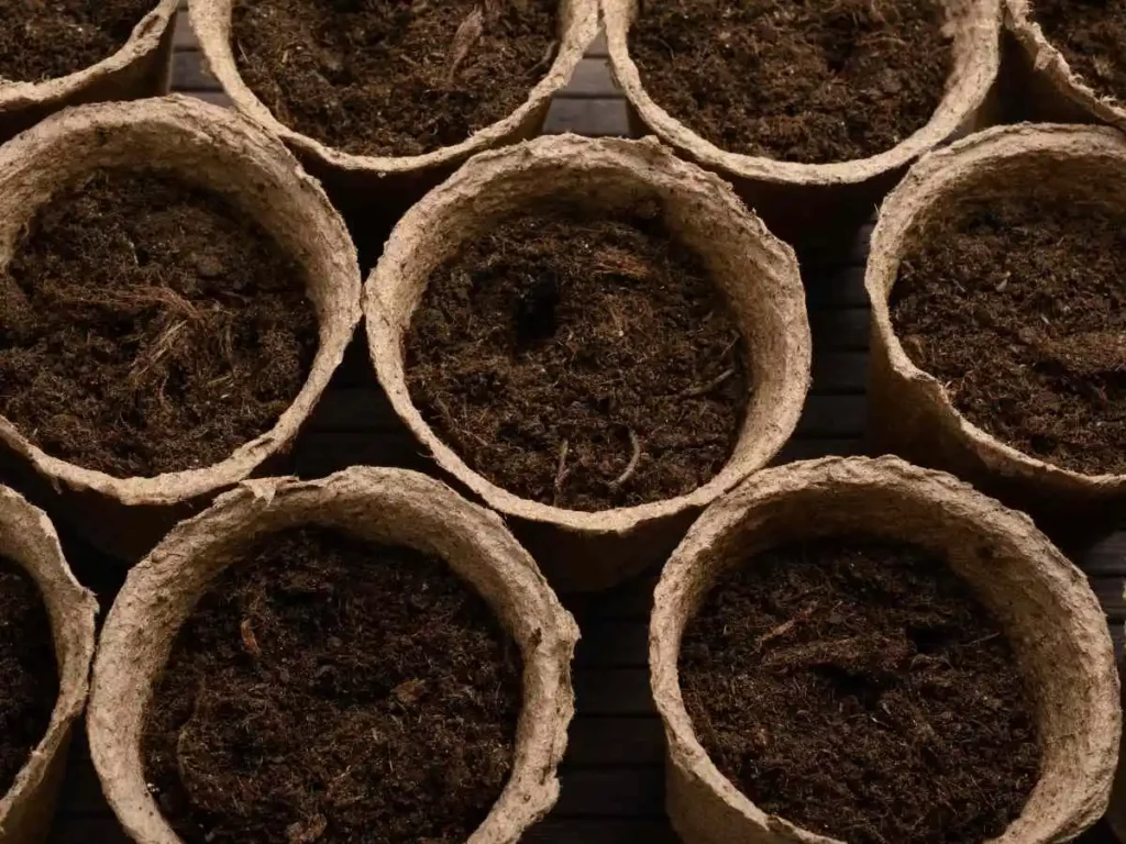 while using pots to grow tomatoes, the best soil should be added to the pots