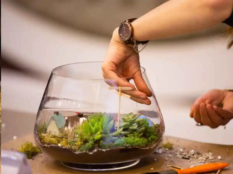 a female hand preparing terrarium for plants