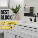 black bathroom faucets