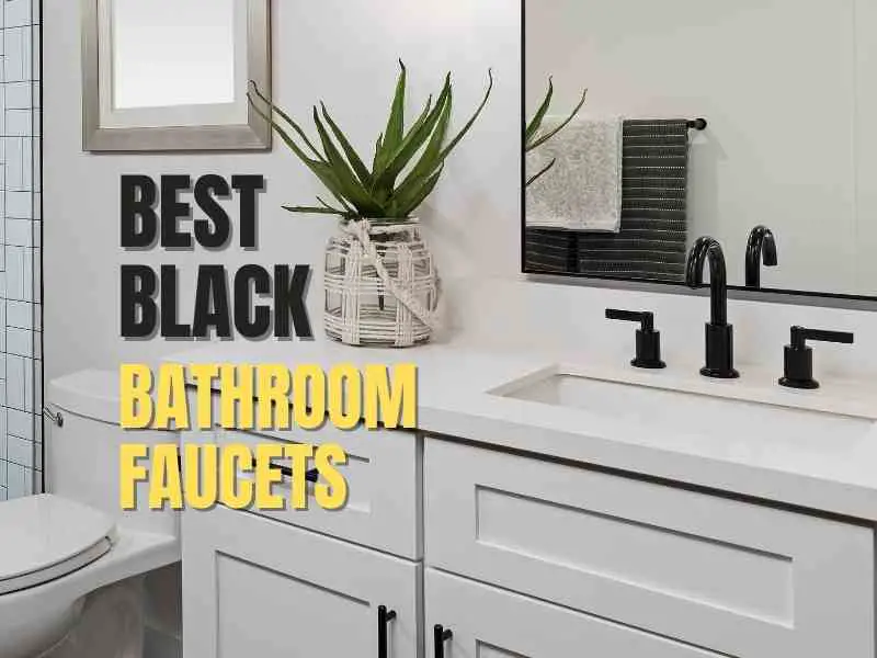 black Bathroom faucets