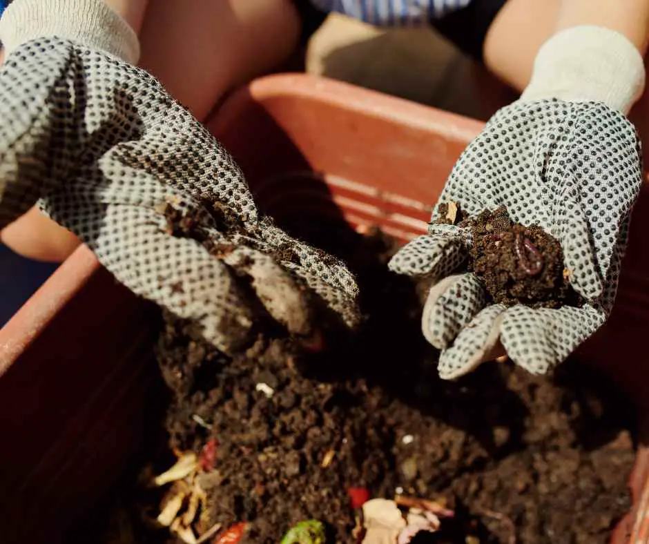 Preparing the clay soil