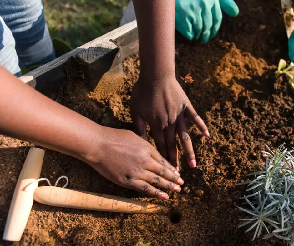 Will plants grow in clay soil