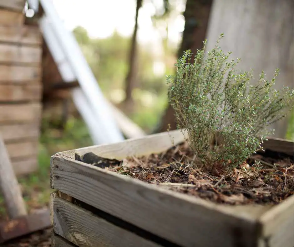 soil for raised bed