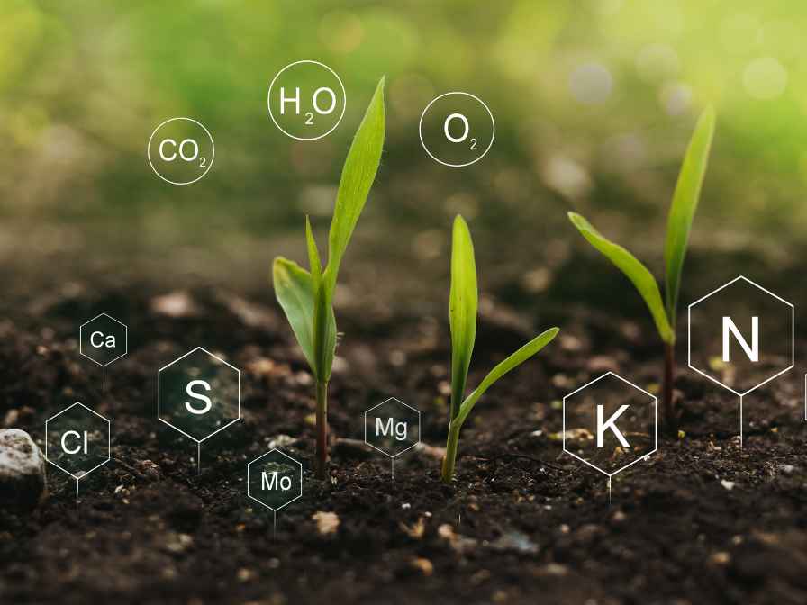 How to Add Nitrogen to Soil