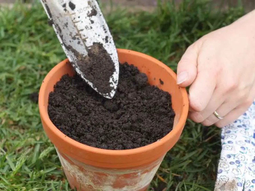 Potting soil