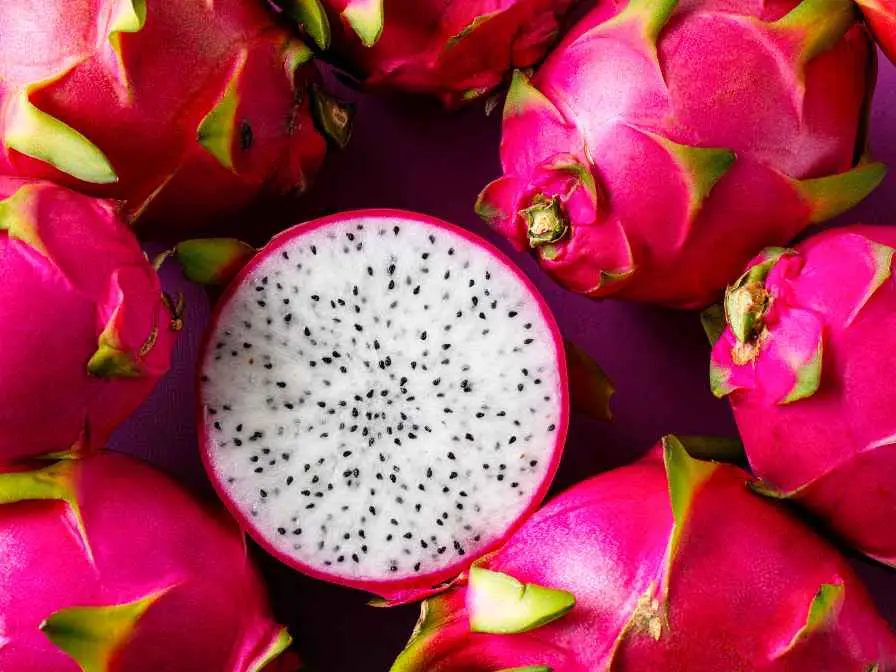 dragon fruit