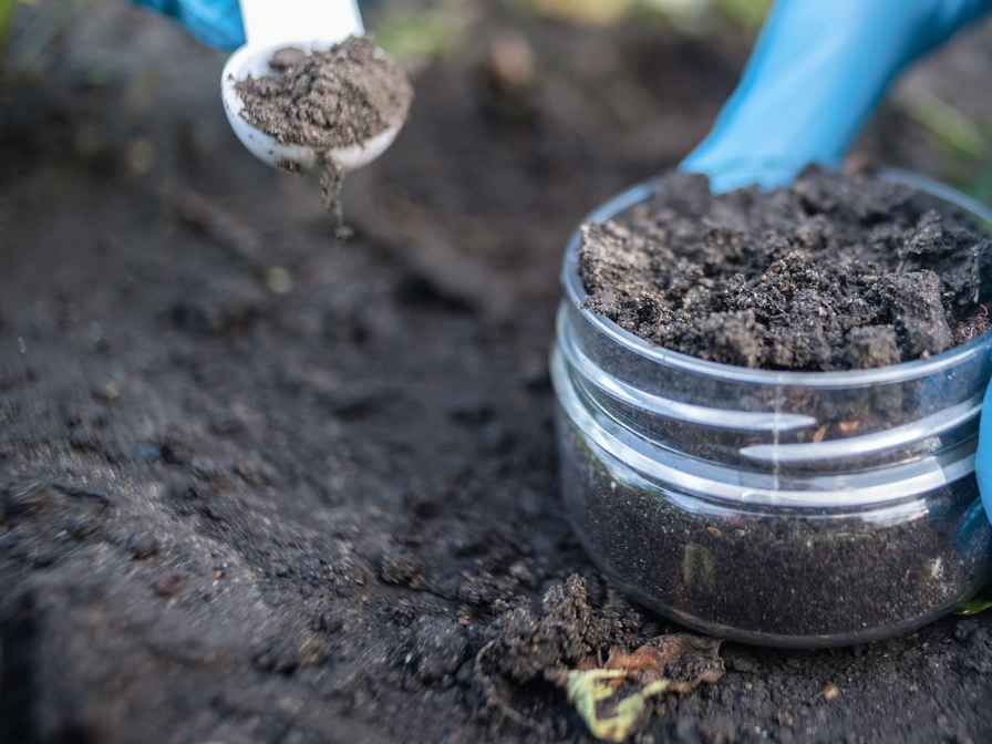 Best Soil For Indoor Cannabis