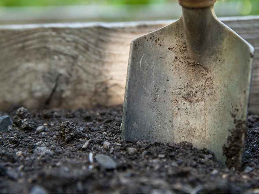 Best Soil Mix For Raised Garden Beds