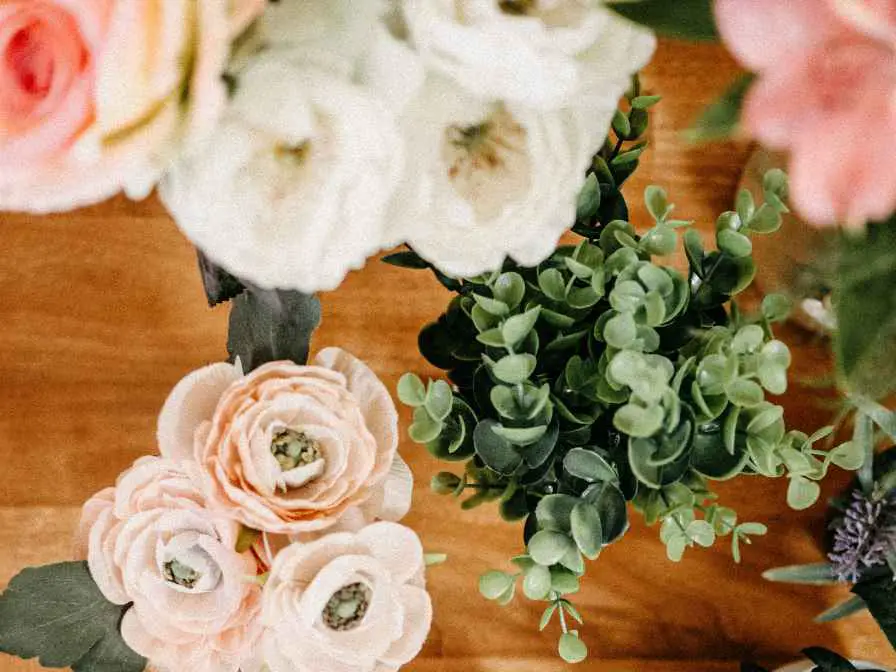 Flowering Indoor House Plants