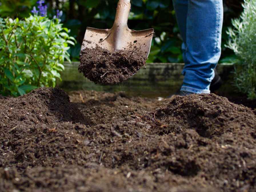 Garden Soil for Next Year
