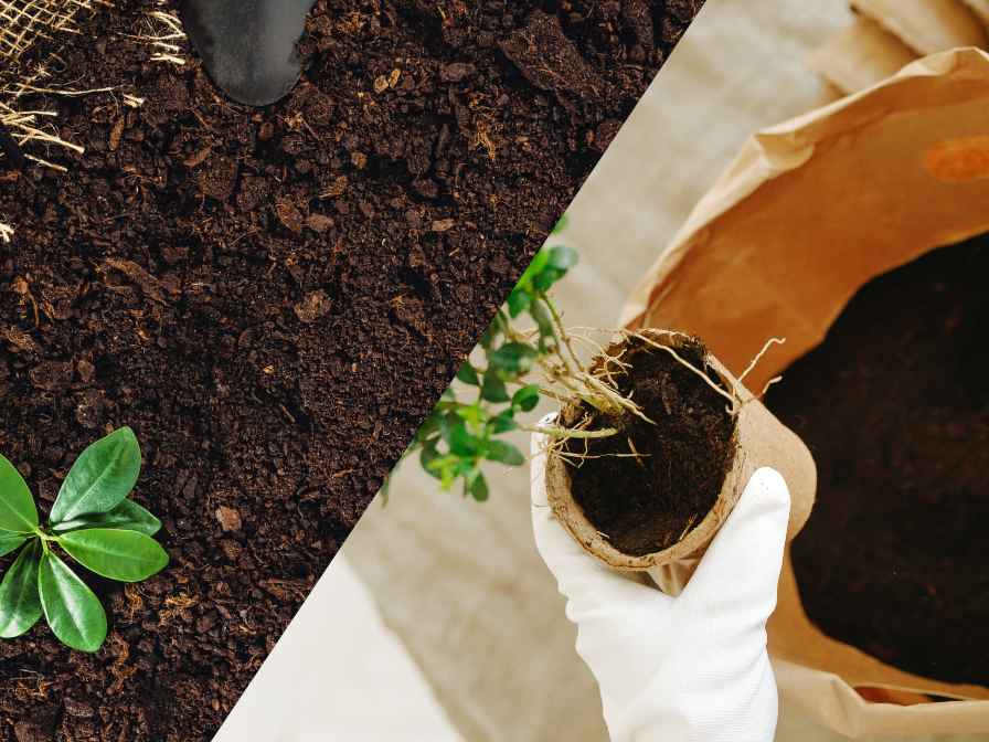 Garden soil vs Potting soil