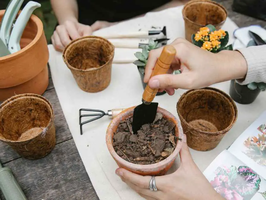 How To Sterilize Potting Soil