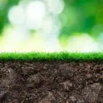 Prepare Soil for Grass Seed