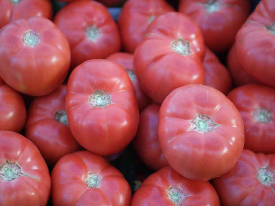 german pink tomatoes