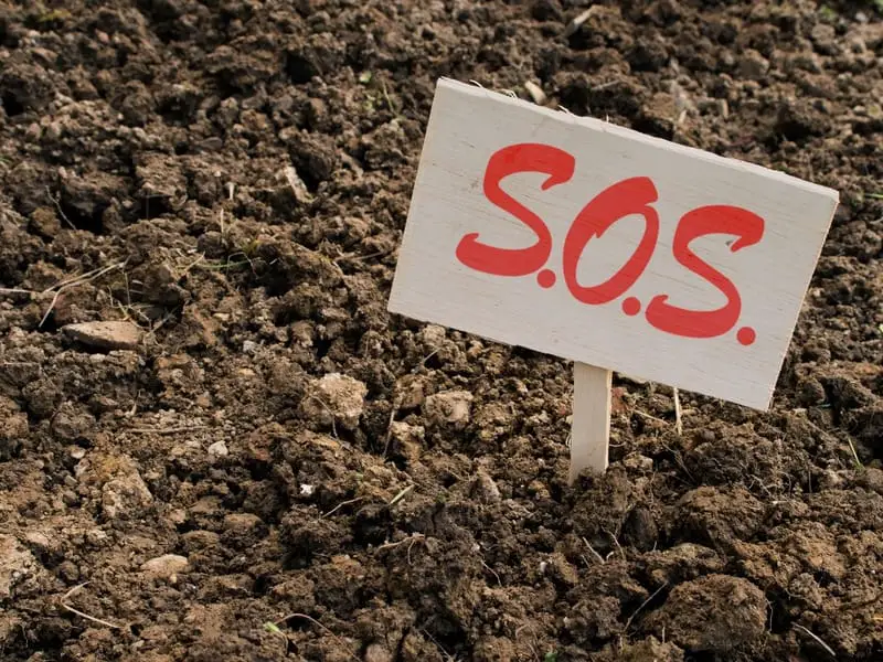 SOS sign in clay soil signals gardening emergency