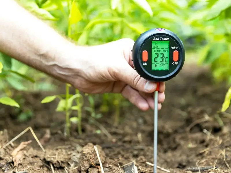 Testing soil moisture and temperature in clay garden