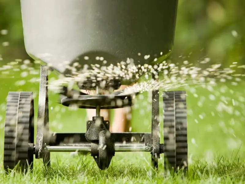 Providing fertilizers to plant by manual machine