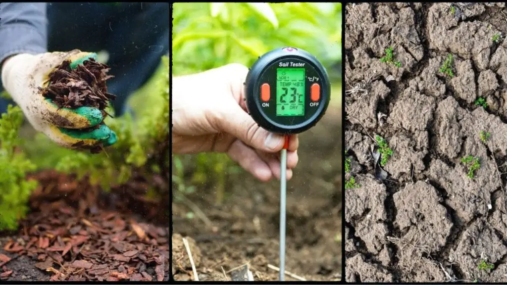 What to Do When Garden Soil is Mostly Clay