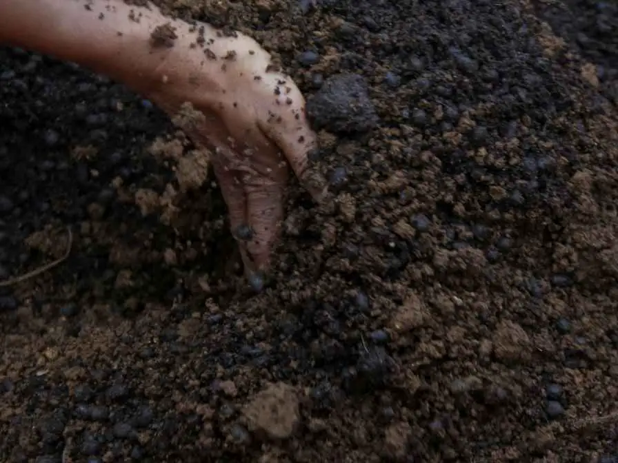 how to dispose garden soil