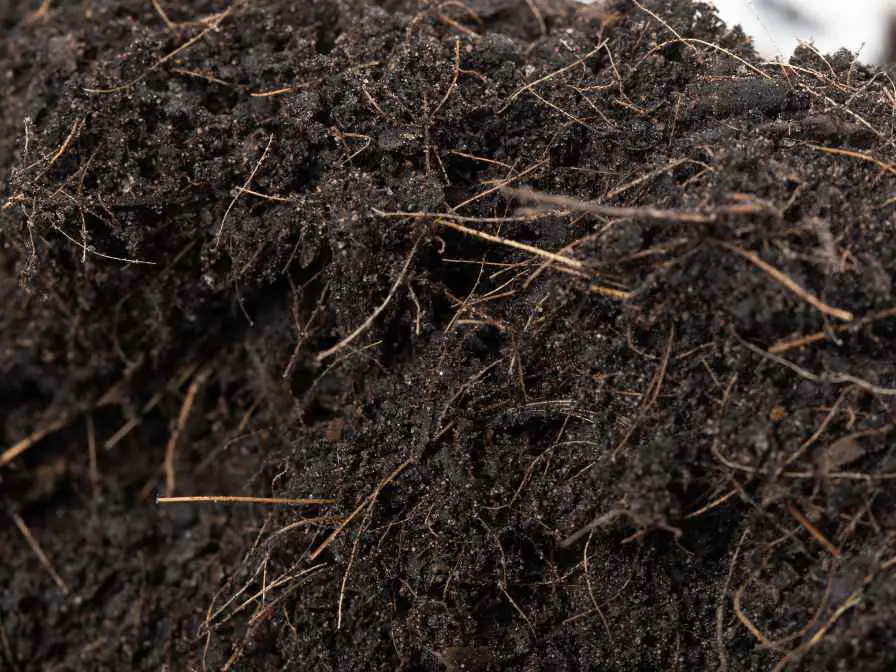 disposing garden soil