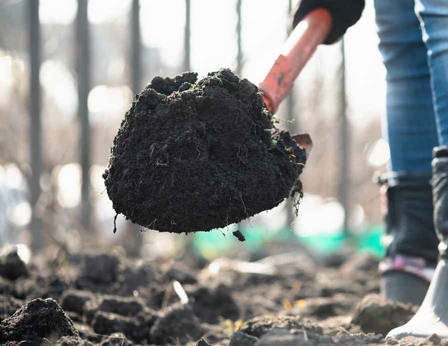 Garden Soil For Arizona