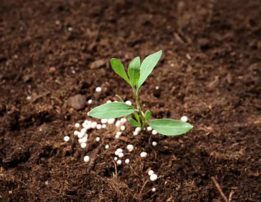 Garden Soil Needs Nitrogen