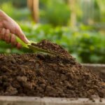 What Soil is Good For Garden Beds