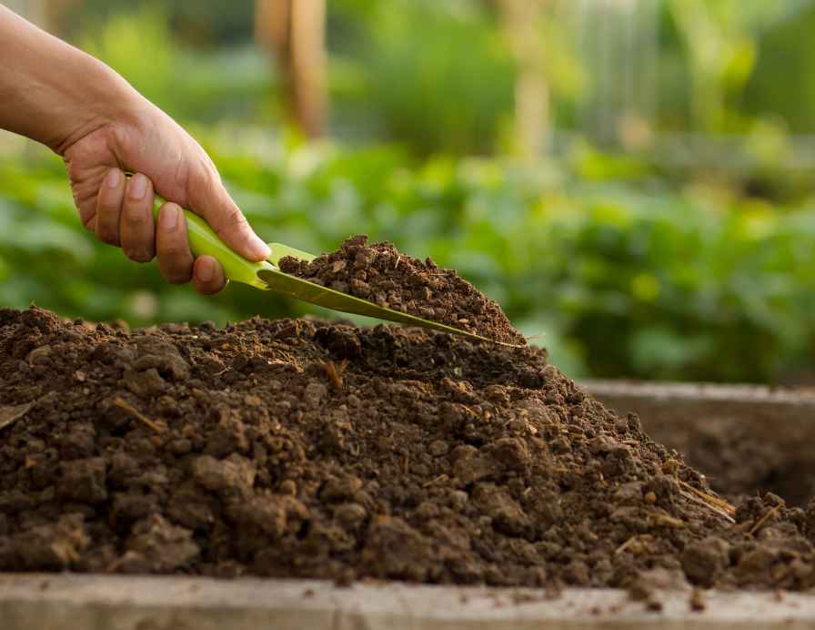 What Soil is Good For Garden Beds
