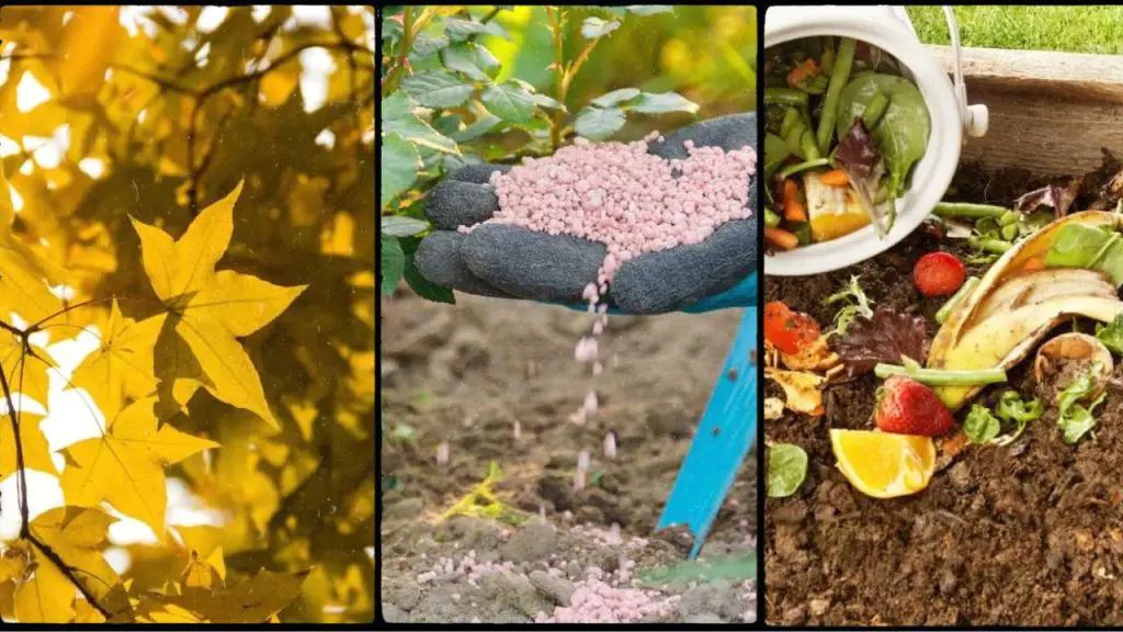 What to Use When Garden Soil Needs Nitrogen