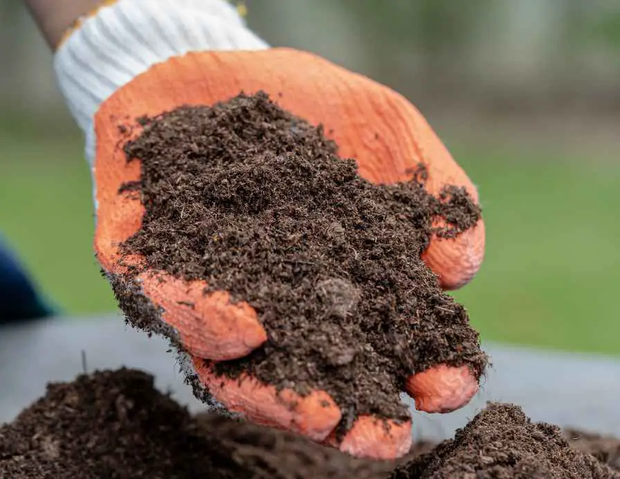 best Garden Soil For Arizona