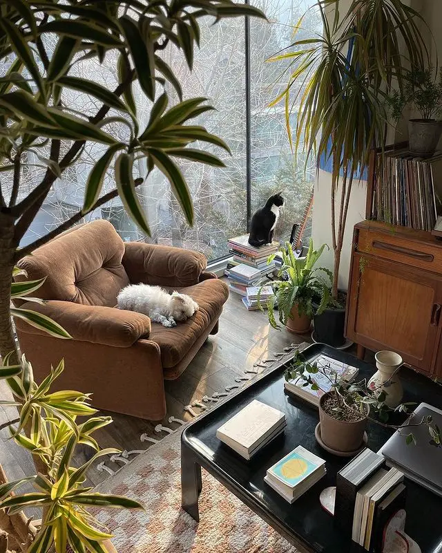 Calm Zen Sanctuary