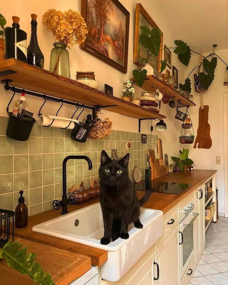 Unexpected Visitor Enlivens the Scene
