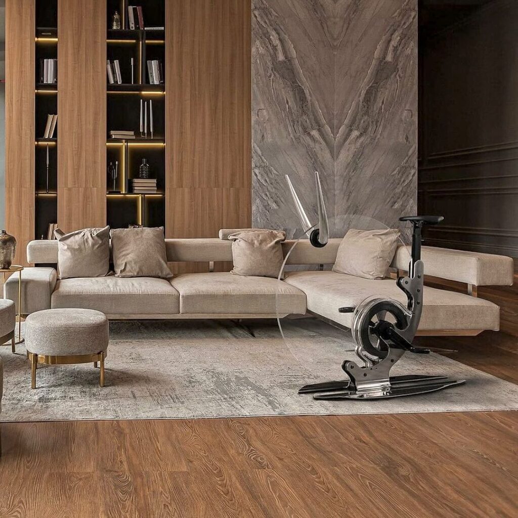 Luxurious living room with bookshelves and exercise bike