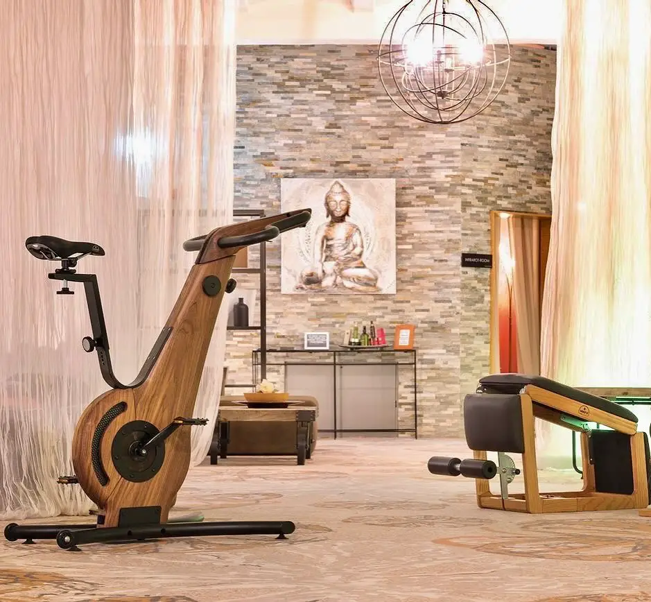 Luxurious home gym with wooden exercise bike and Buddha artwork