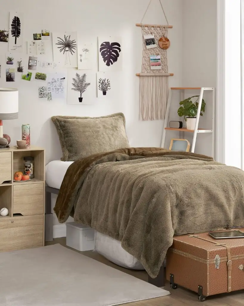 Dorm room with nature-themed wall art and cozy brown bedding