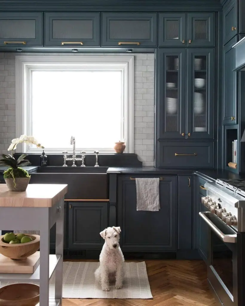 Navy kitchen with white dog sitting on rug