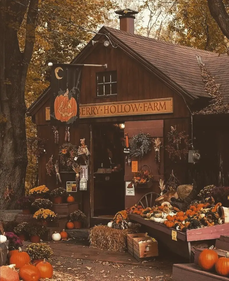Rustic farm stand filled with pumpkins and fall decor