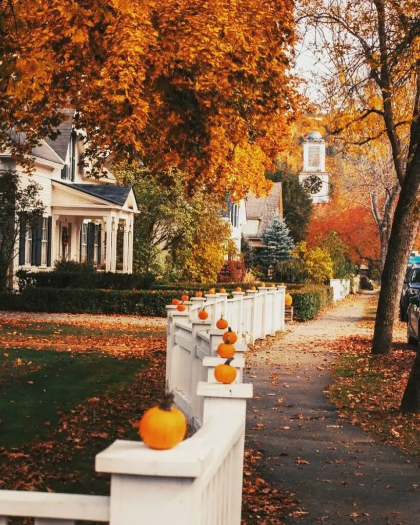 Autumn street with pumpkin-lined white fence and colorful foliage