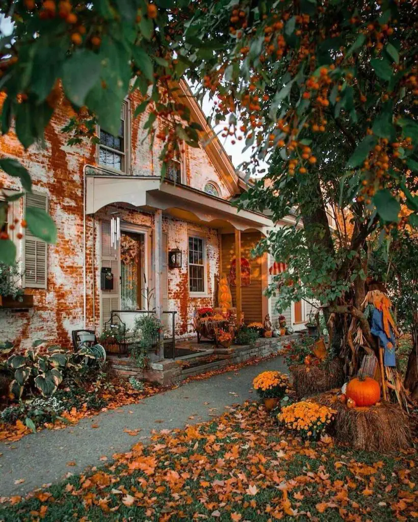 Brick house with fall decorations and orange trees