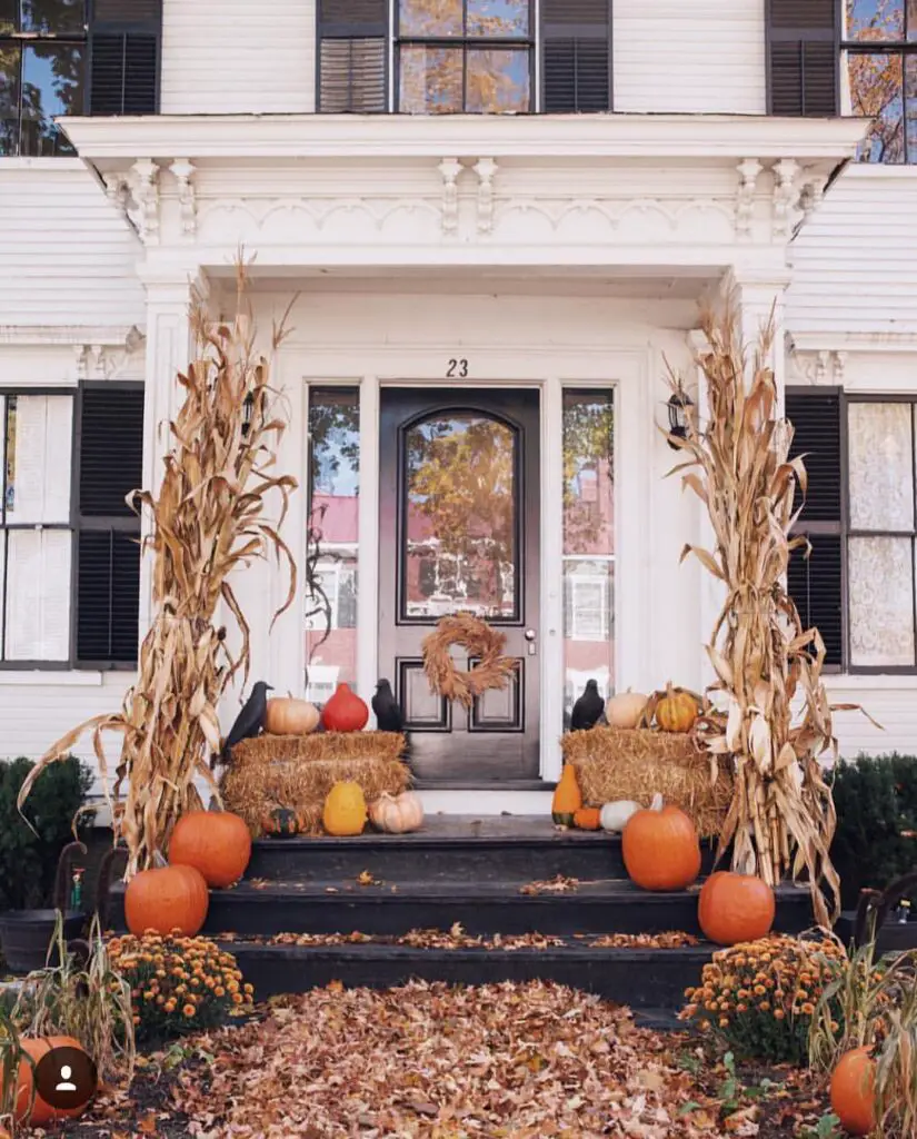 White house entrance decorated with cornstalks pumpkins and hay bales