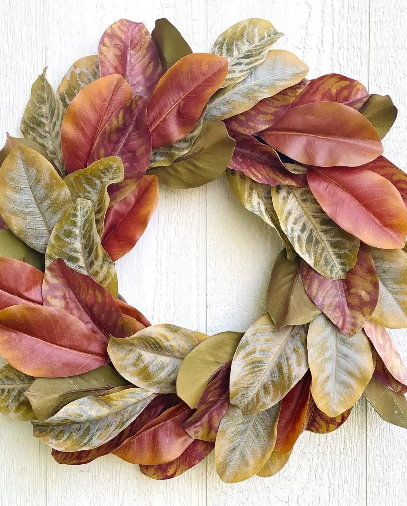 Magnolia leaf wreath with autumn colors and variegated leaves