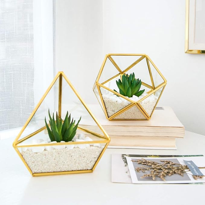 Two geometric terrariums with gold frames contain small succulents and white pebbles.